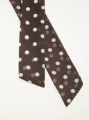 Chiffon Polka Dot Maxi Slip Dress With Scarf