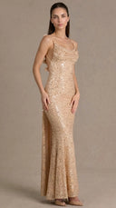 Celestia - Gold Embellished Open-Back Maxi Gown